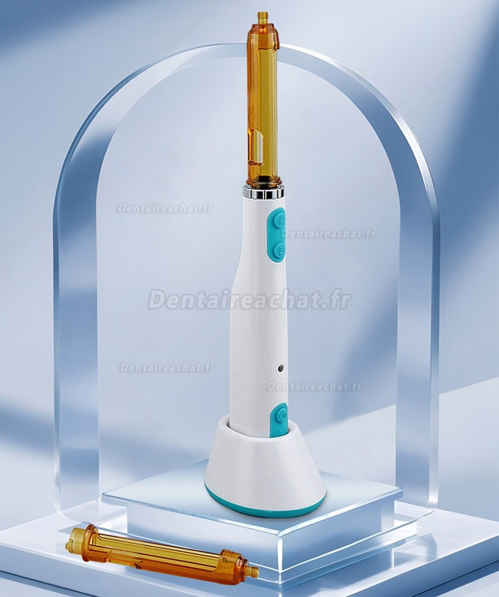 WJ seringue d'anesthésie dentaire, stylo anesthésie dentiste